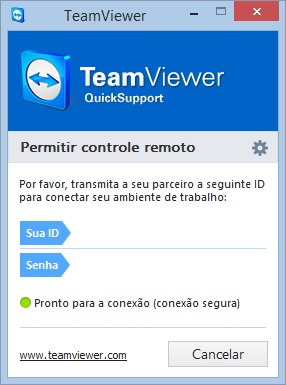 Team Viewer